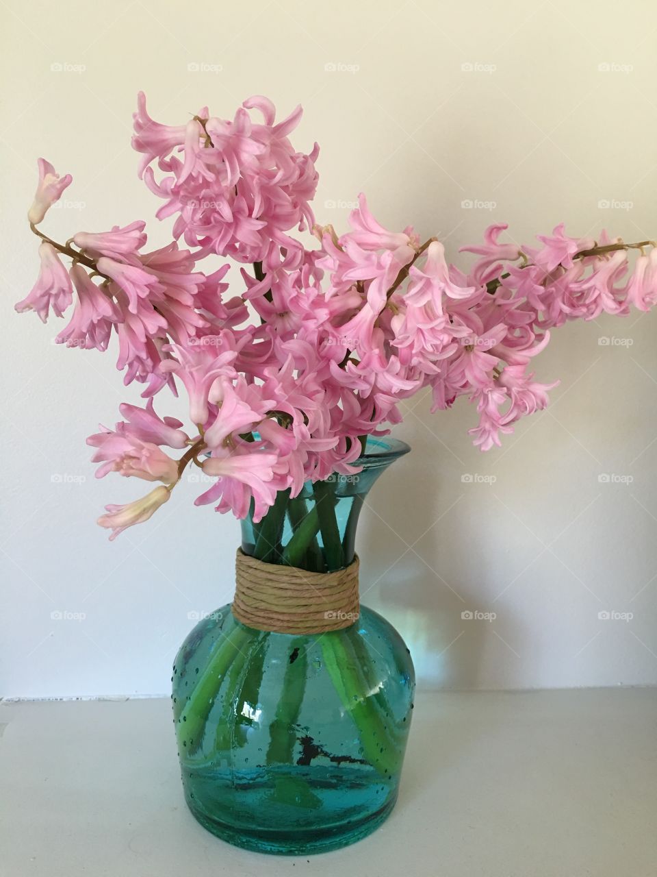 Hyacinth from my garden