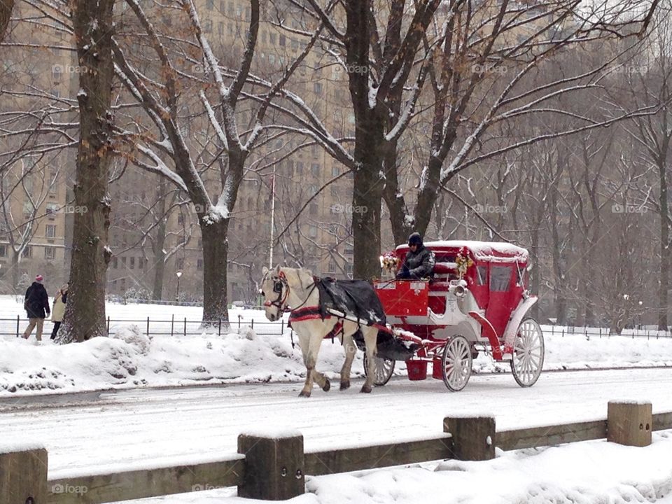Winter ride through Central Park