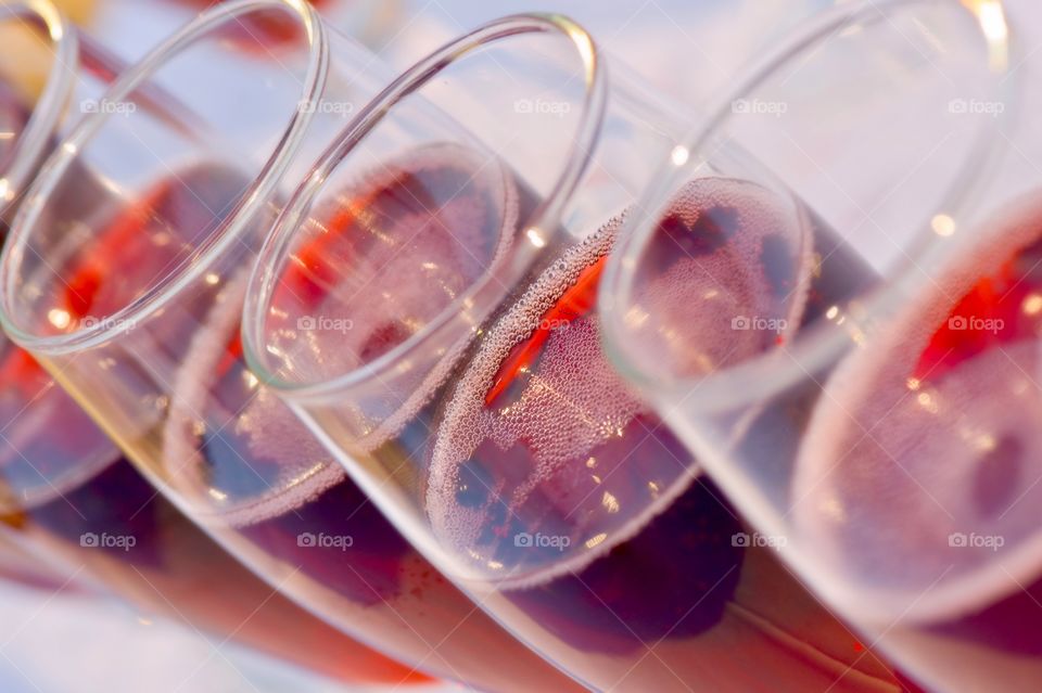 holiday, holiday resort, holidaying, holiday spirit, holidays seasons, holiday decor, winter holiday, christmas holidays, usa holiday, holidays, holidays seasons, summer holidays, winter holidays, going on holidays, family holidays, people on holidays, perfect holidays, christmas holidays, autumn holidays, christmas, xmas, christmas tree, nostalgic christmas, classic christmas tree, child christmas, christmas new york, winter sport, winter season, winter sports, winter landscape,