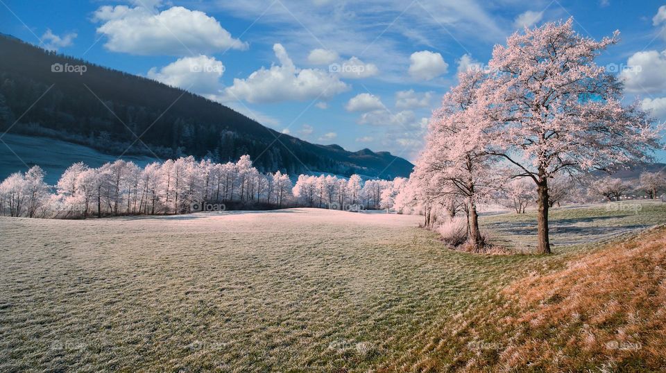 Beautiful mountain and field scenery
