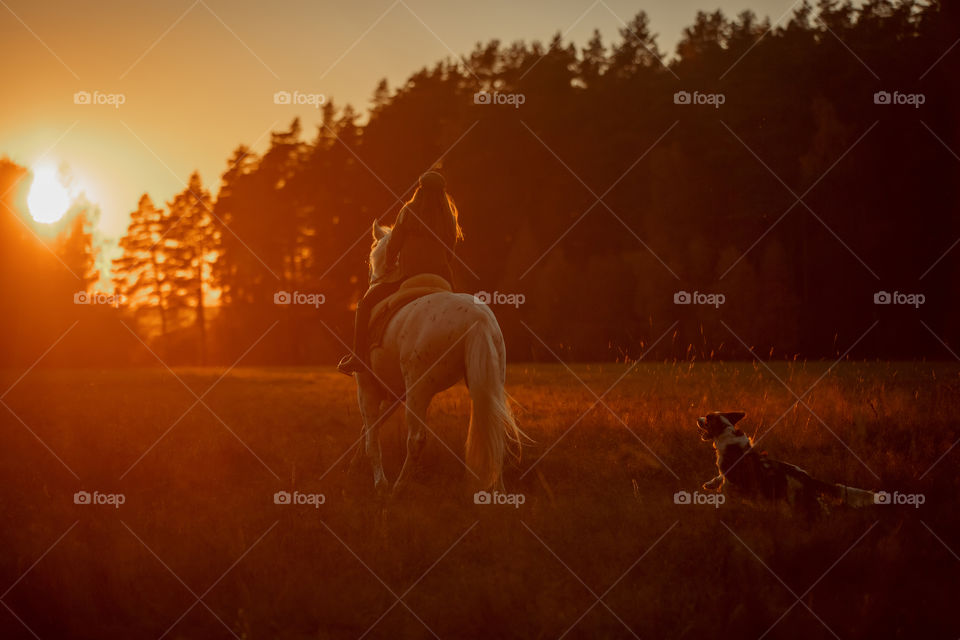 Evening horseback riding with setter dog