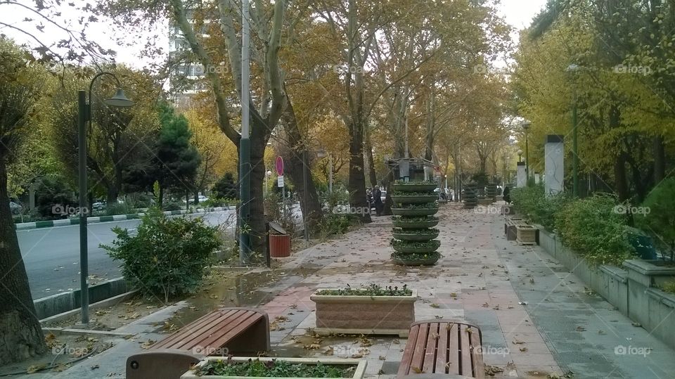 autumn in Tehran

Laleh park