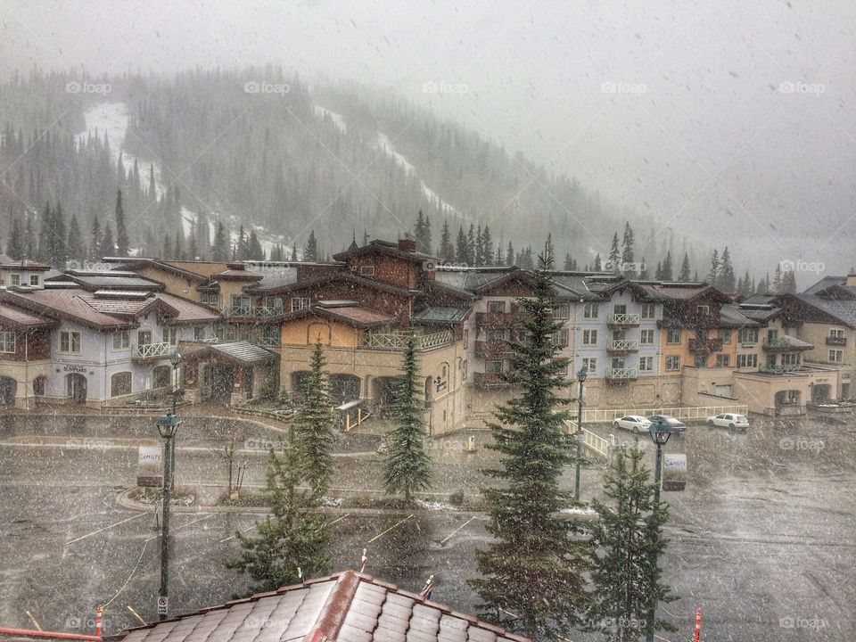 Snowing at Sun Peaks ski resort! 