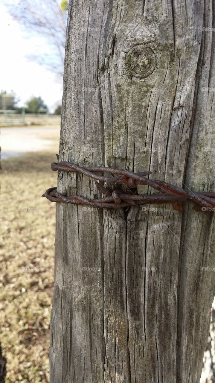 barbed wire