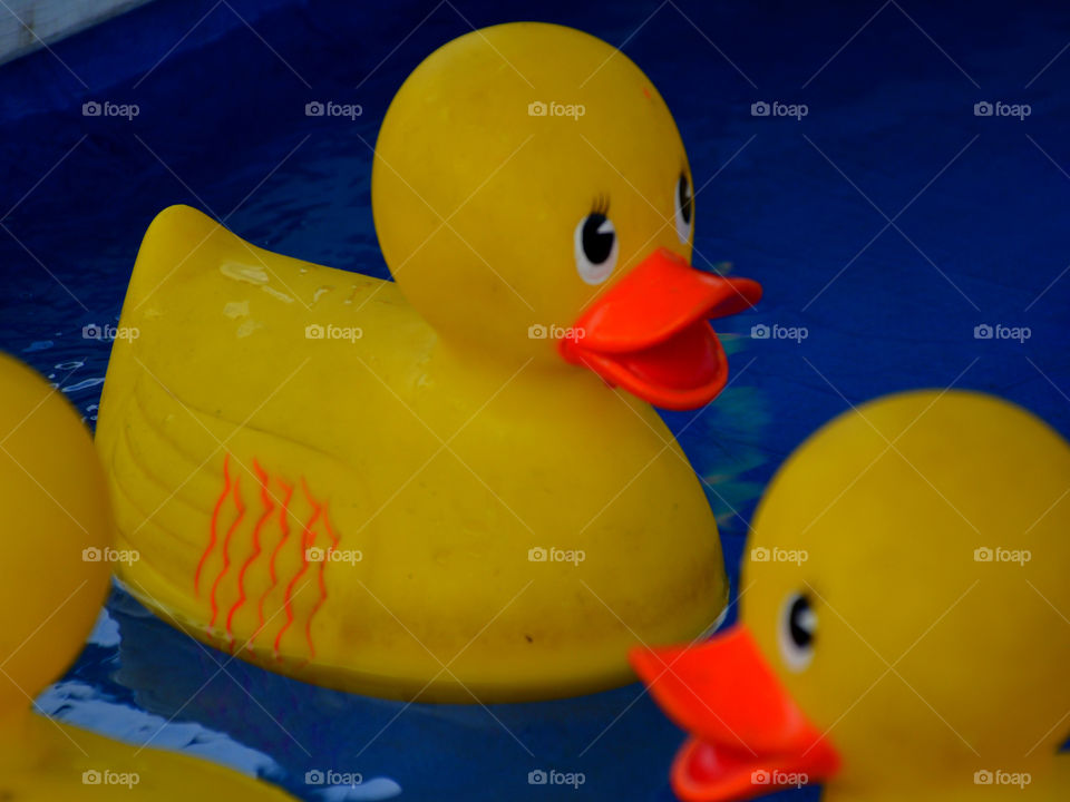 Yellow is my favorite color and it matches my disposition: cheerful and fun to be with, creative, critical of myself, and a perfectionist! Yellow is the best color to create enthusiasm for life and can awaken greater confidence and optimism! I love a challenge, particularly a mental challenge!