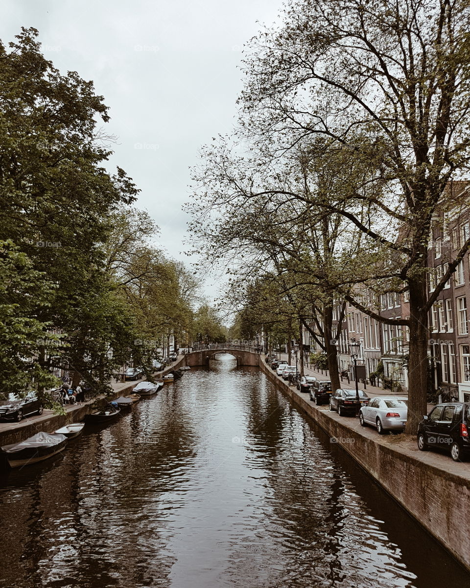 amsterdam canal