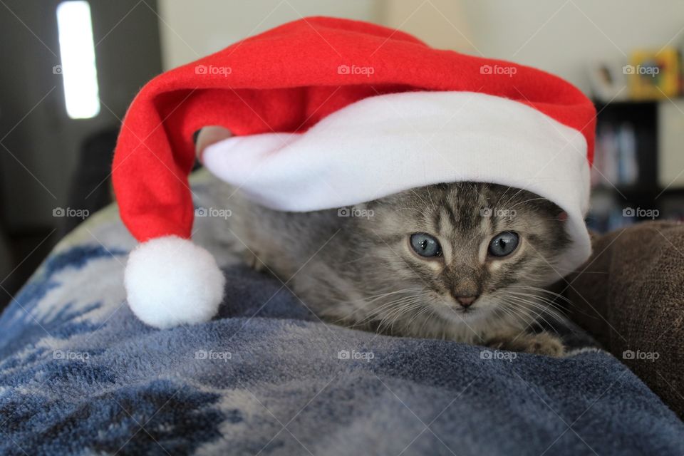 Santa hat