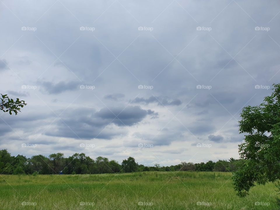park landscape before the rain