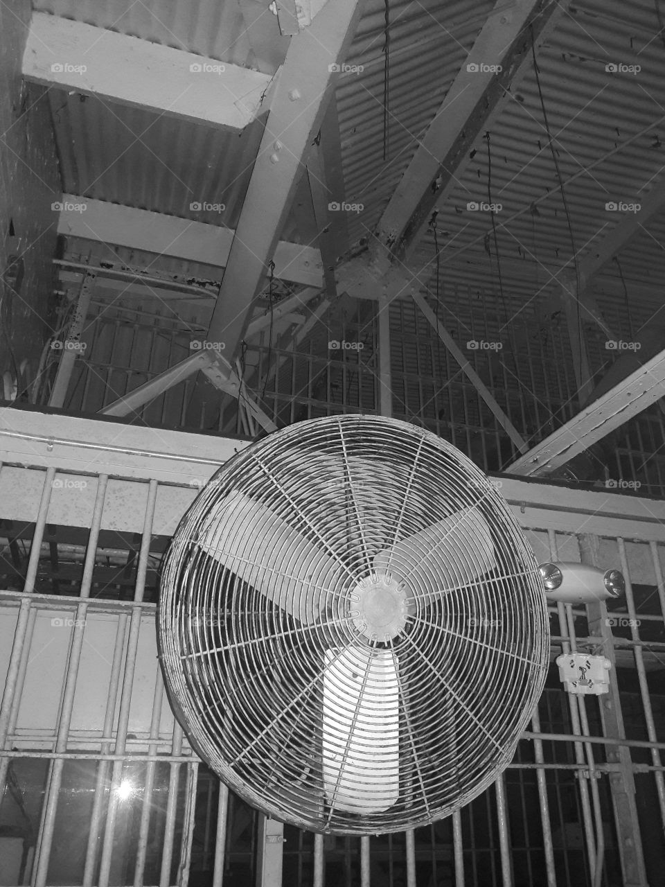big fan