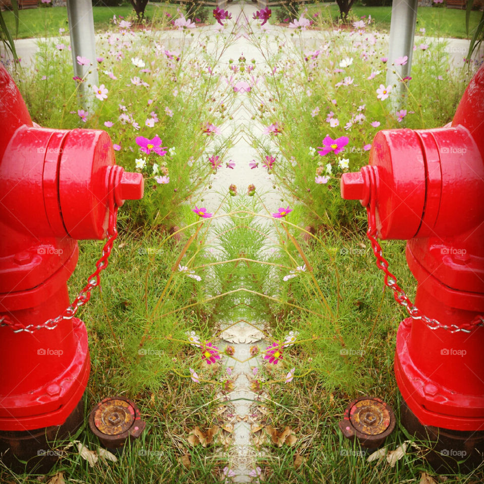 fire plug