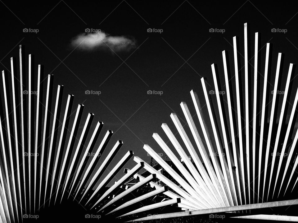 The fluidity of the lines.