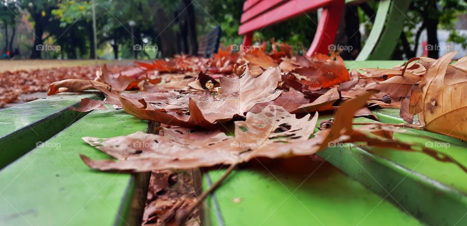 When the world starts getting the colors of sunset!🍂🍁