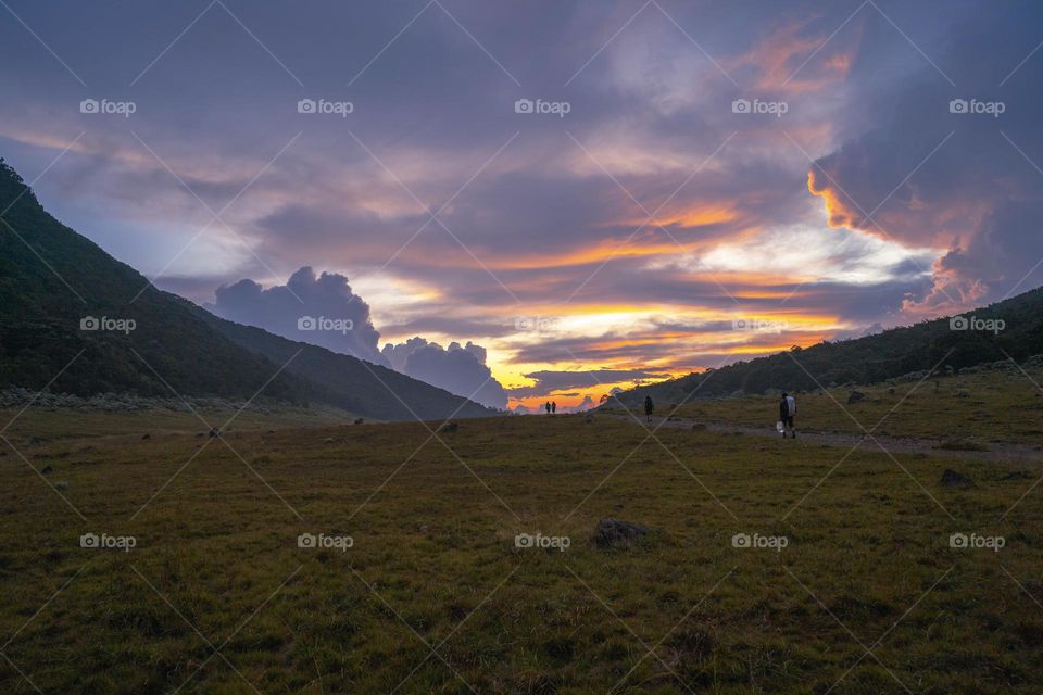 Beautiful afternoon in the savanna of Gunung Gede, Indonesia.