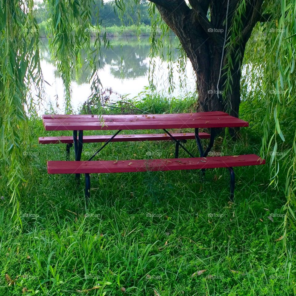 bench