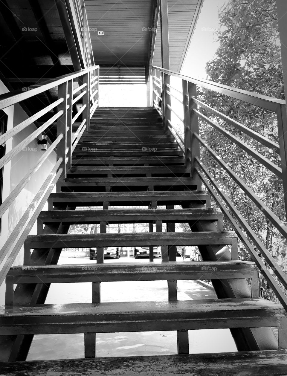 Stairs to freedom