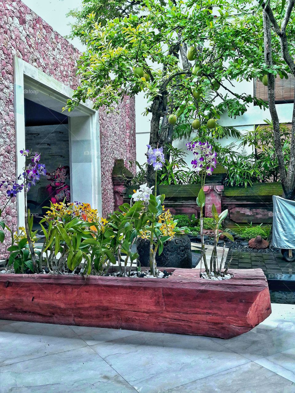 Nature gives you a magical power