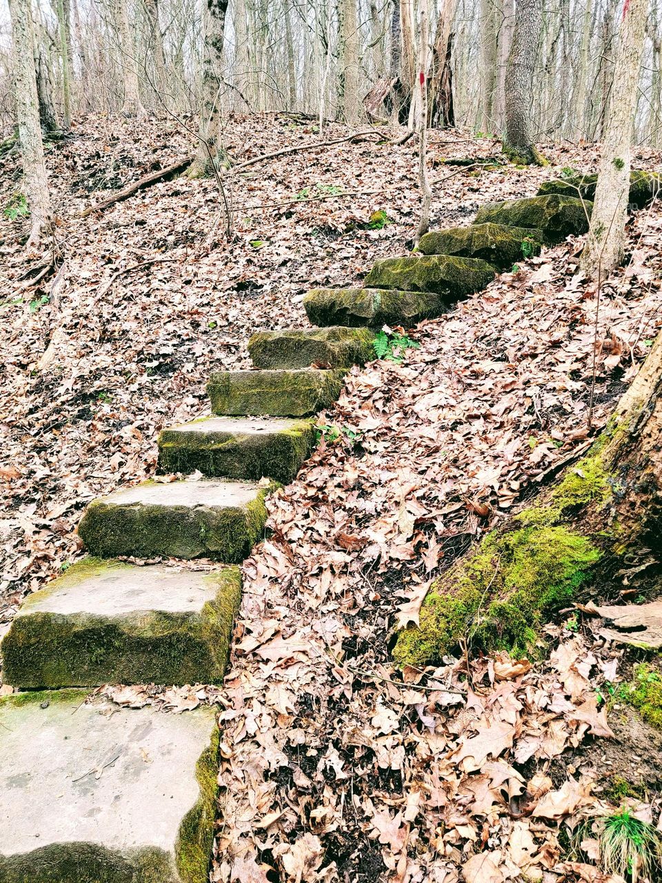 Enchanted staircase on hiking trail in Pennsylvania