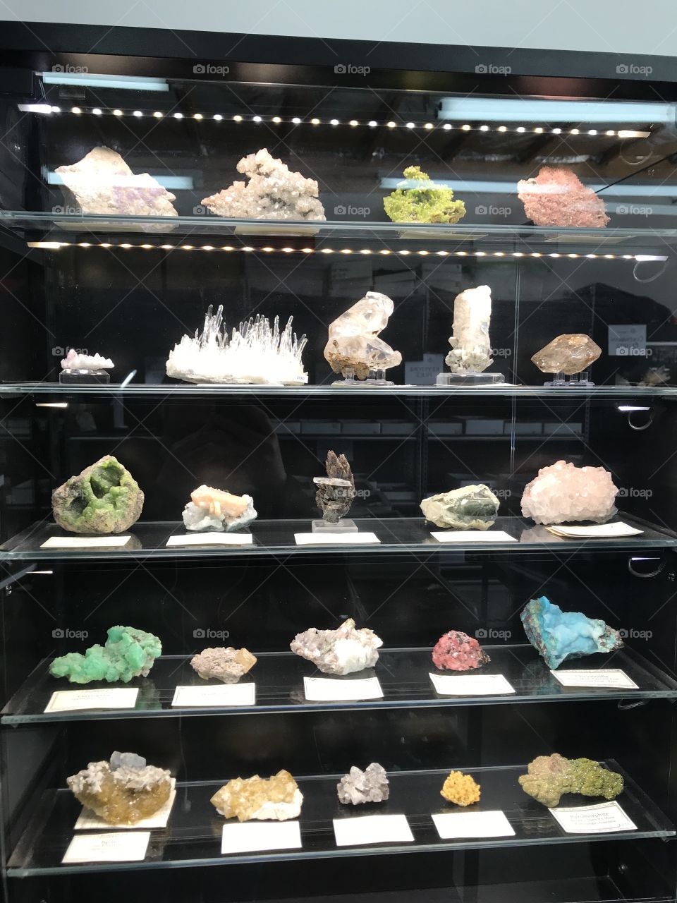 Tucson Arizona gem and mineral show