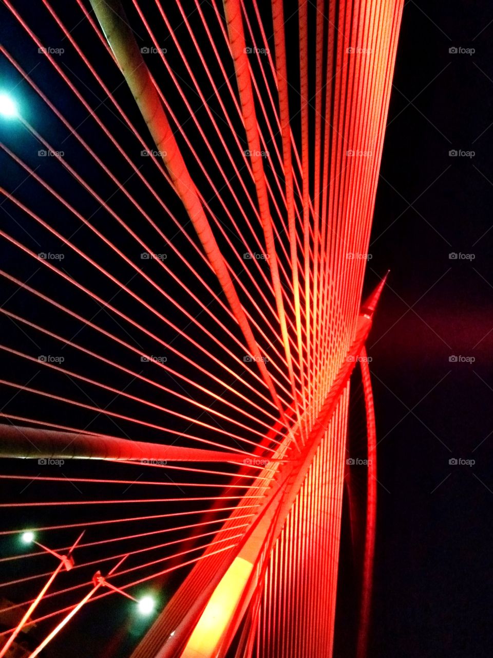 The light of the bridge.