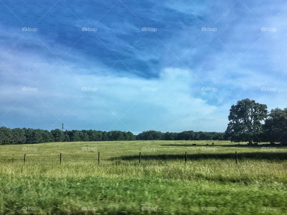 Wide open pastures in the heart of Georgia 