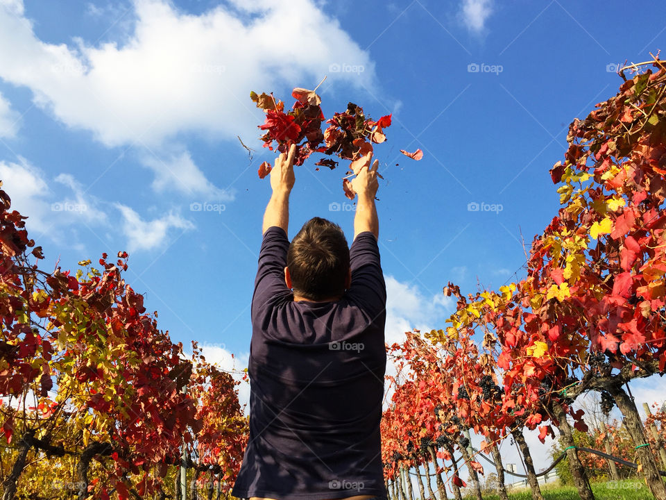 I am throwing many red leaves to the Sky 
In autumn day
