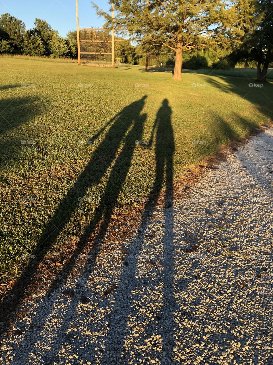 Shadows of people walking 