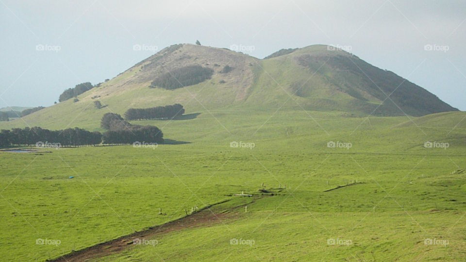 High elevation ranch. Big Island of Hawaii