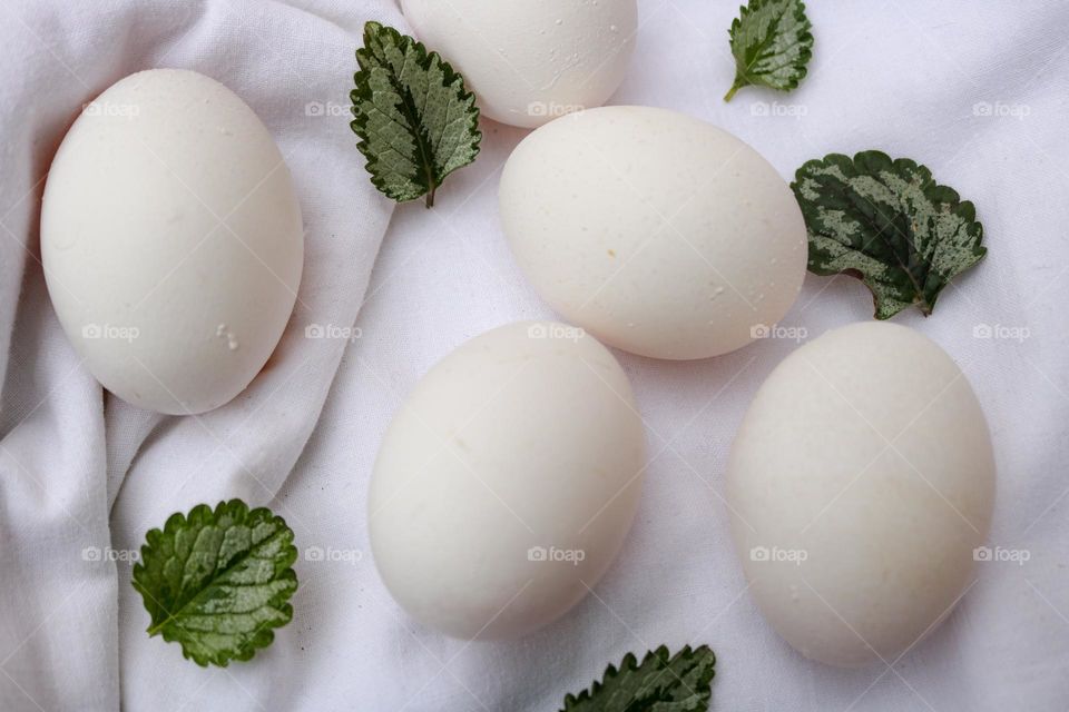 White eggs