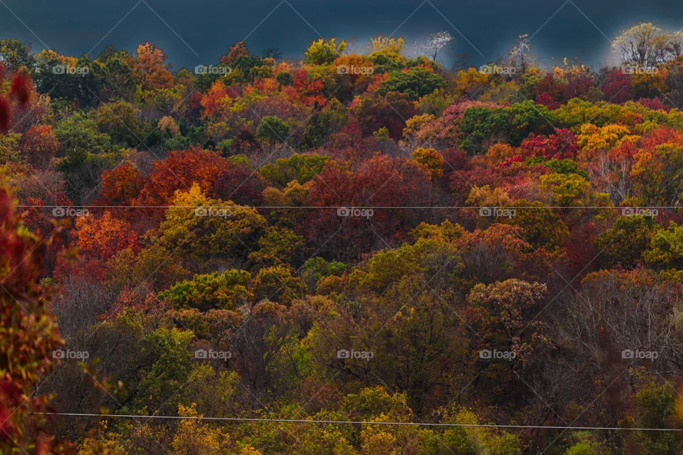 vibrant fall colors