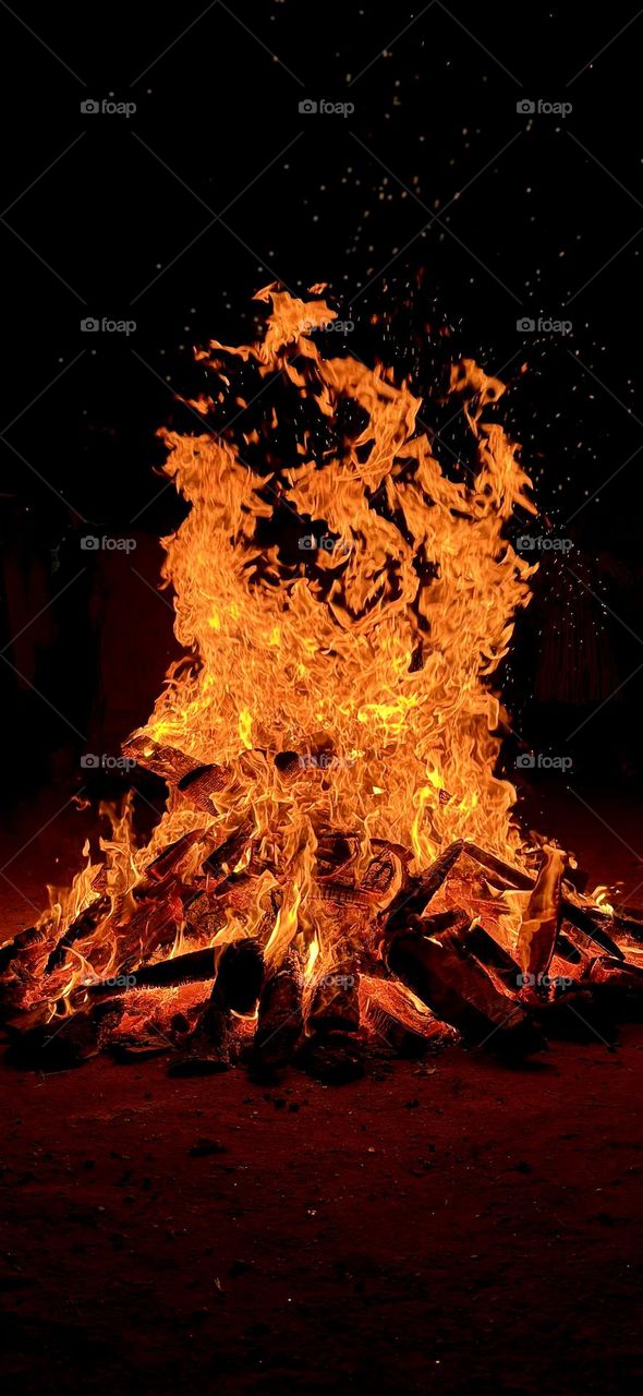 Bright colour of Fire 