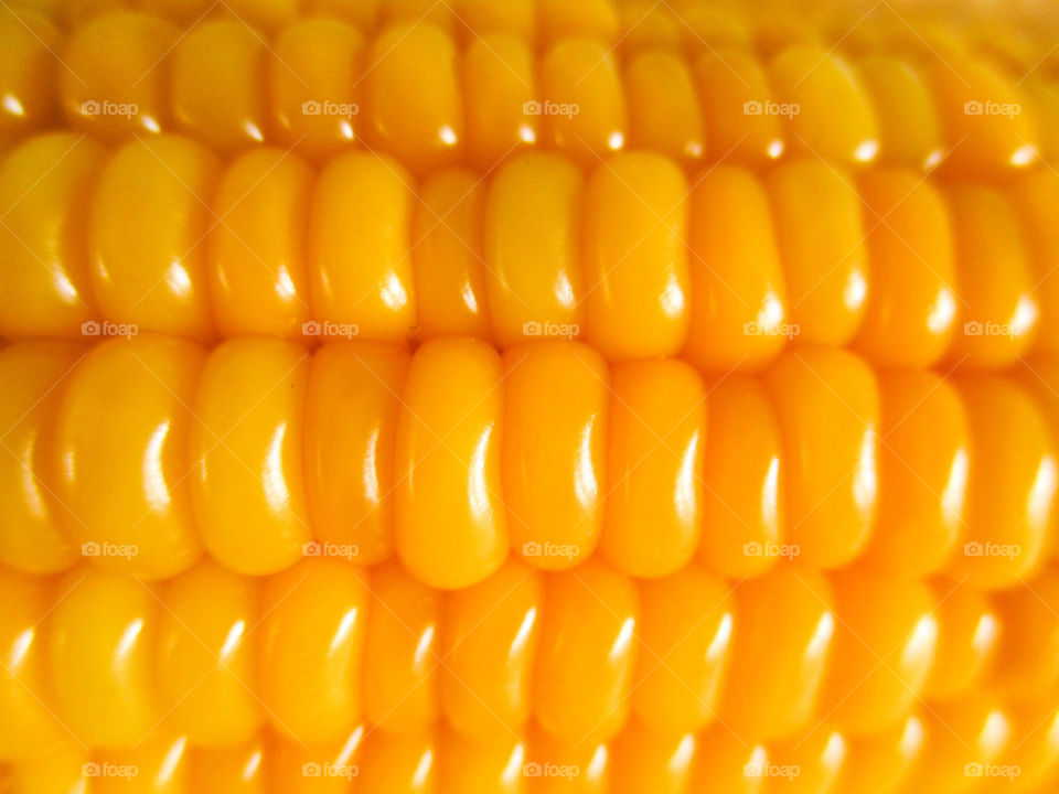 corn (2)