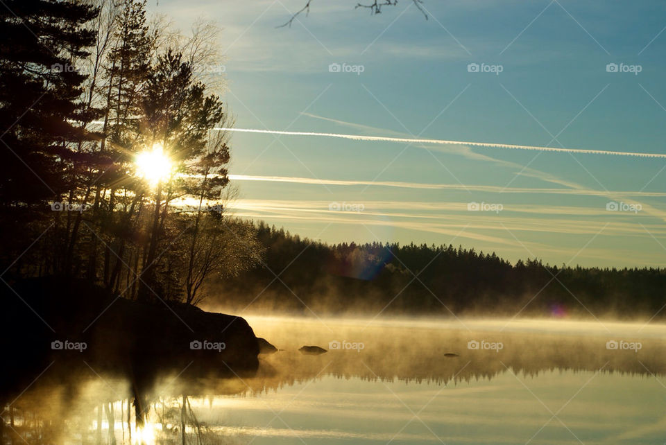 sky wood morning sun by christofferv