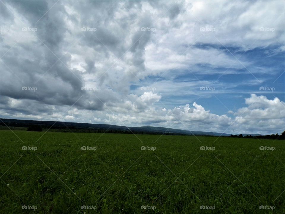 what you see driving in Amish country.