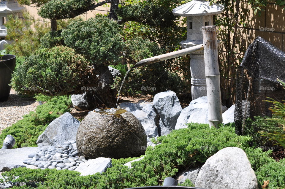 Japanese garden