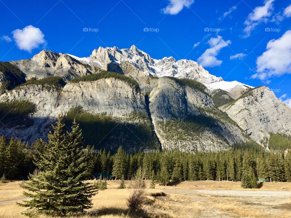 Forest and rocky mountain