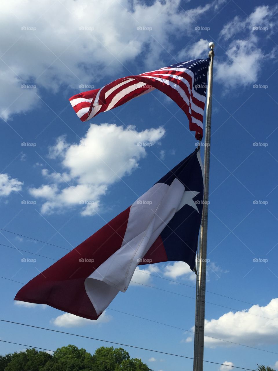US and TX Flags