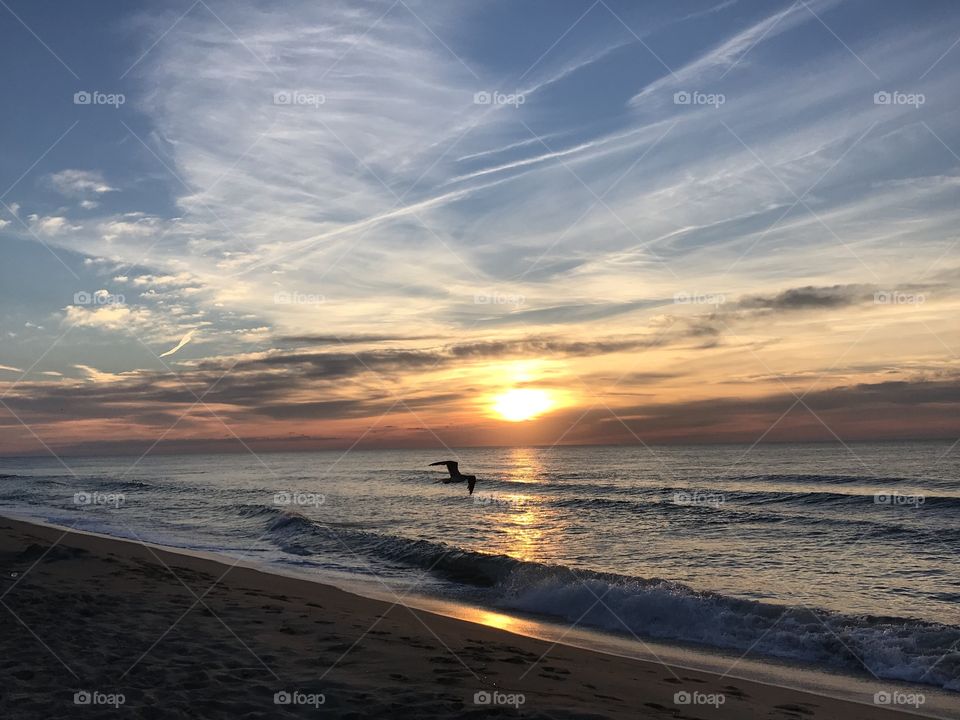 Watching a glorious sunrise over the ocean horizon as a seagull flies by. 