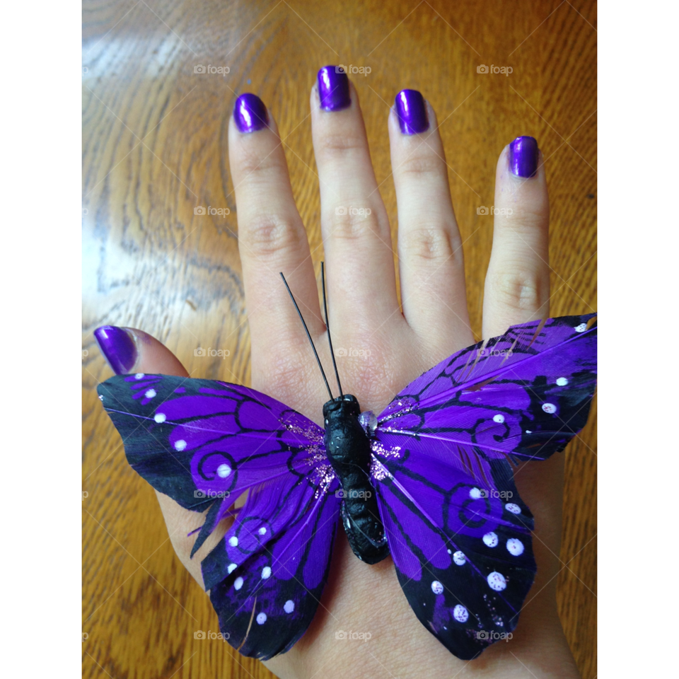 Purple. Purple butterfly