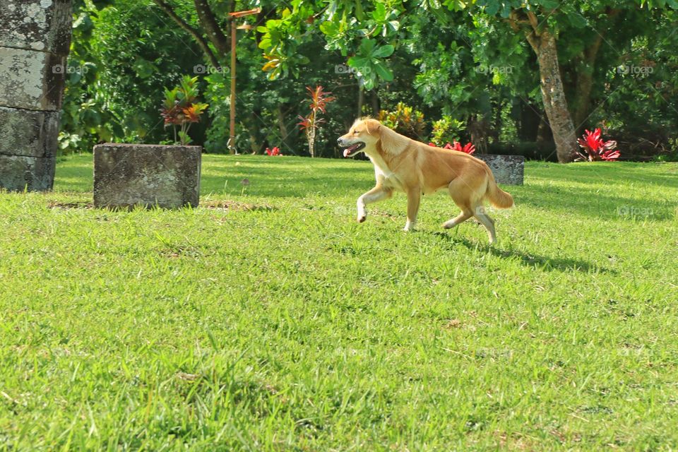 when she's playing on the field