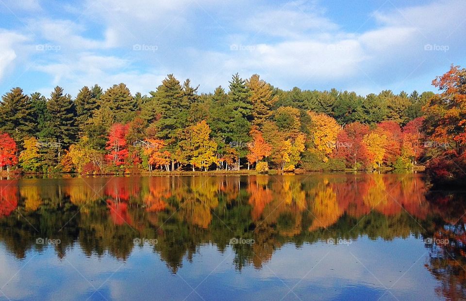 Autumn in New England brings bright, vibrant colors to the trees.  The reflection on the lake makes it all the more brilliant.  Oranges, reds, greens and yellow against a blue sky. 