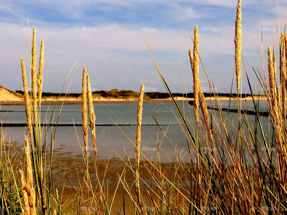 seaside landscape