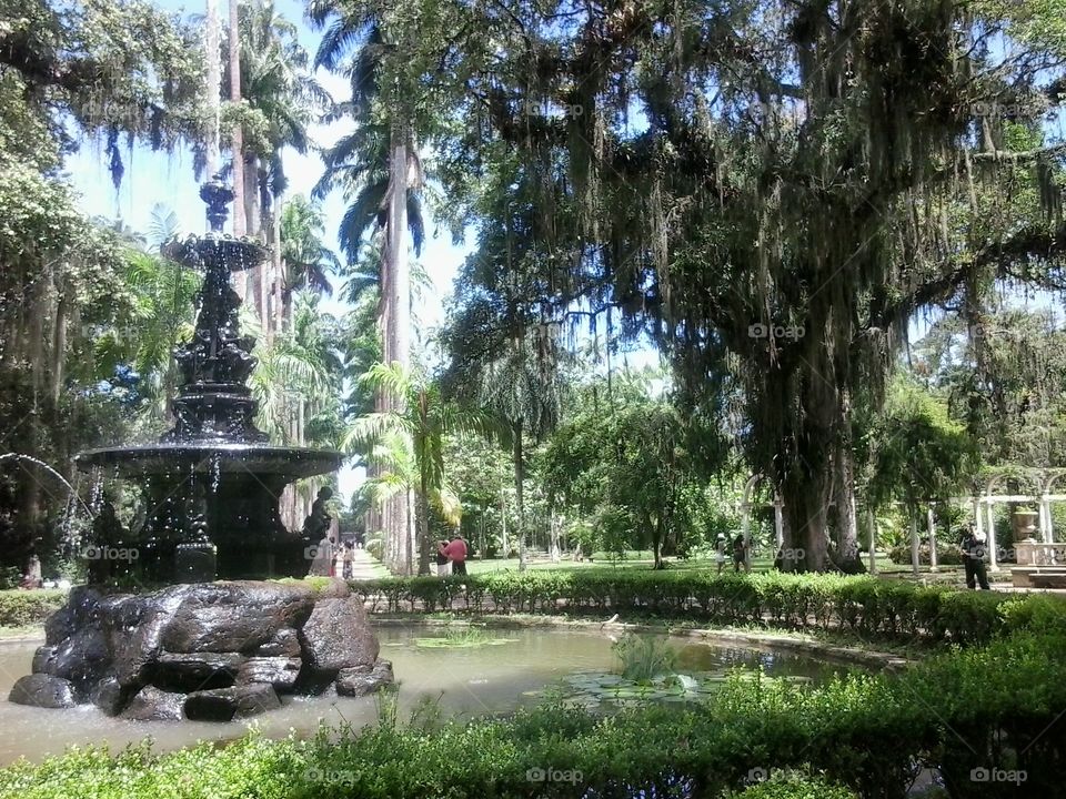Jardim botânico
