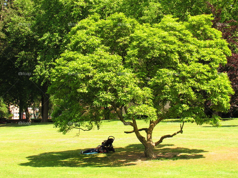 in the park