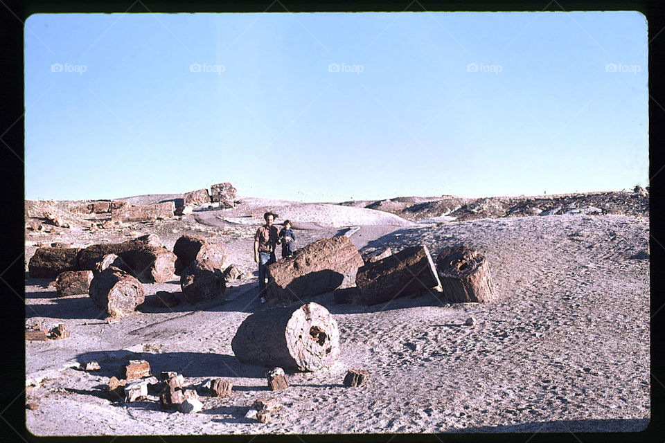 Petrified Forest