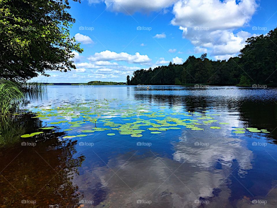 Beautiful lake! 