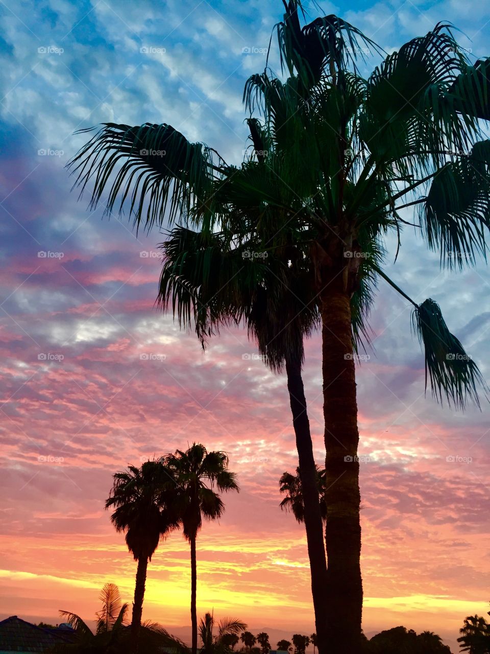 Redondo Sunset