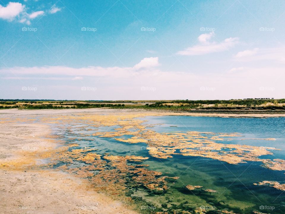 Lake break