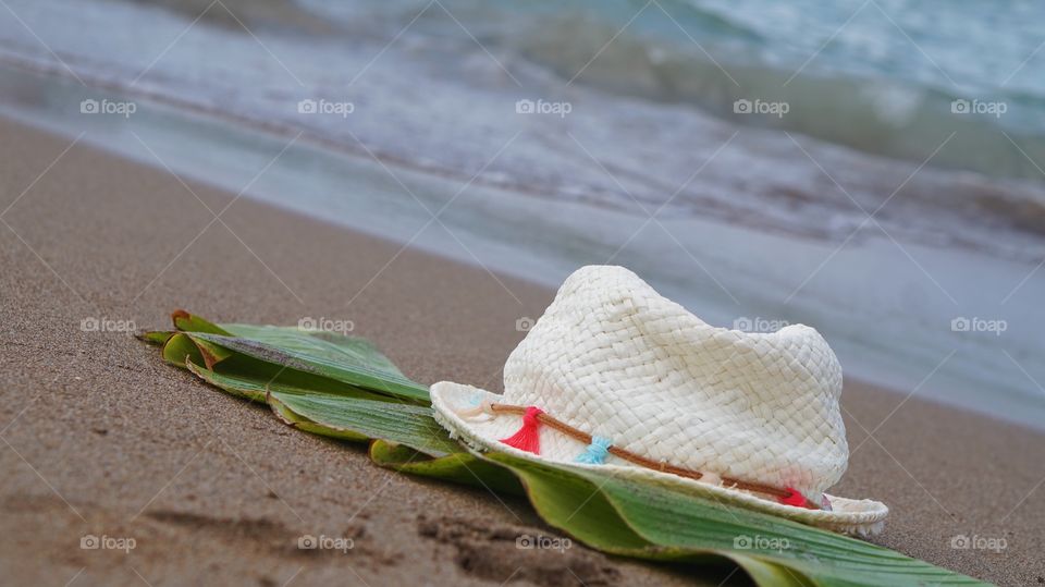 No Person, Summer, Flower, Beach, Nature