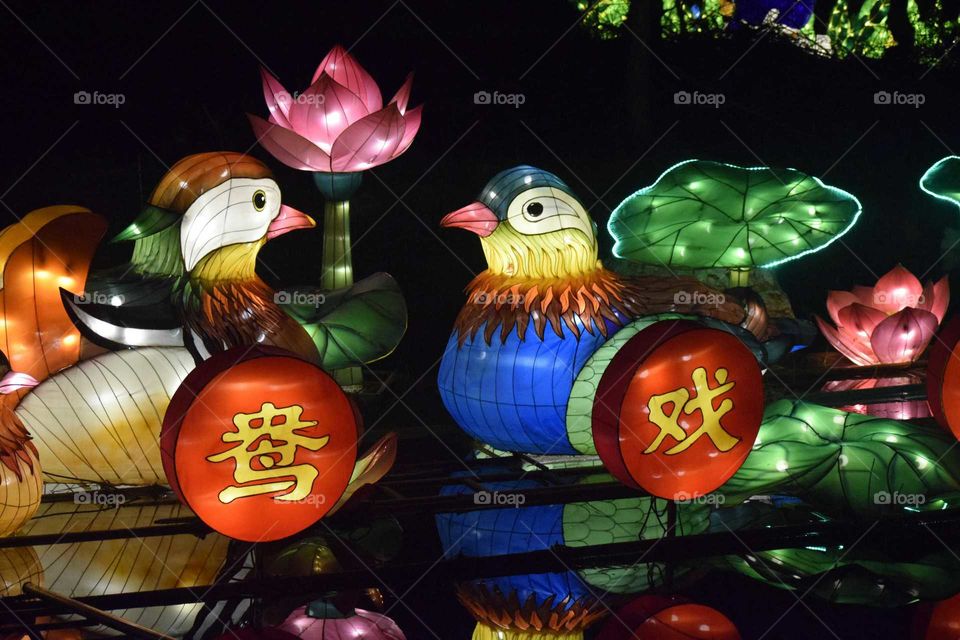 Birds on Chinese Float