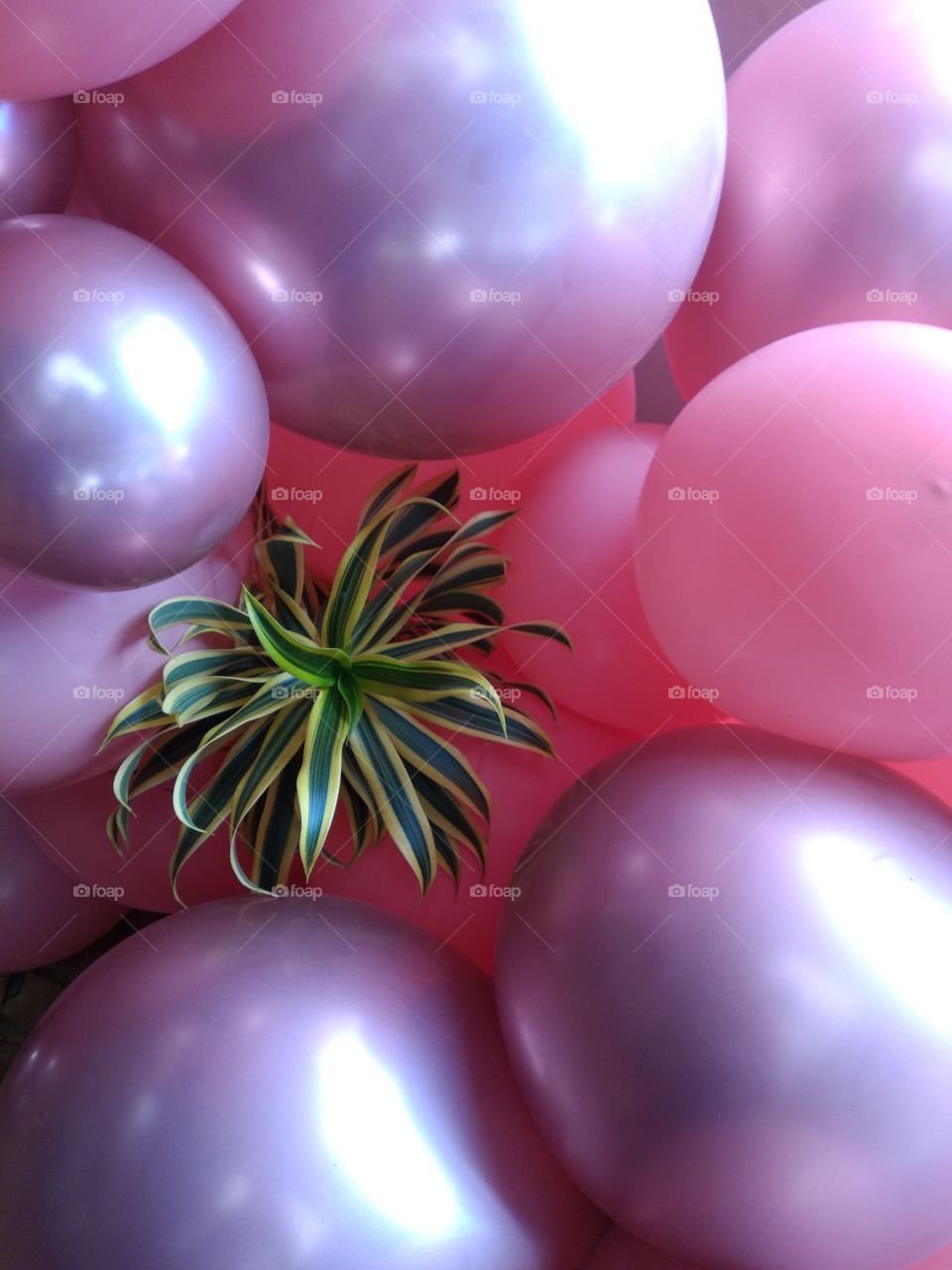 bem vindo foap pintura